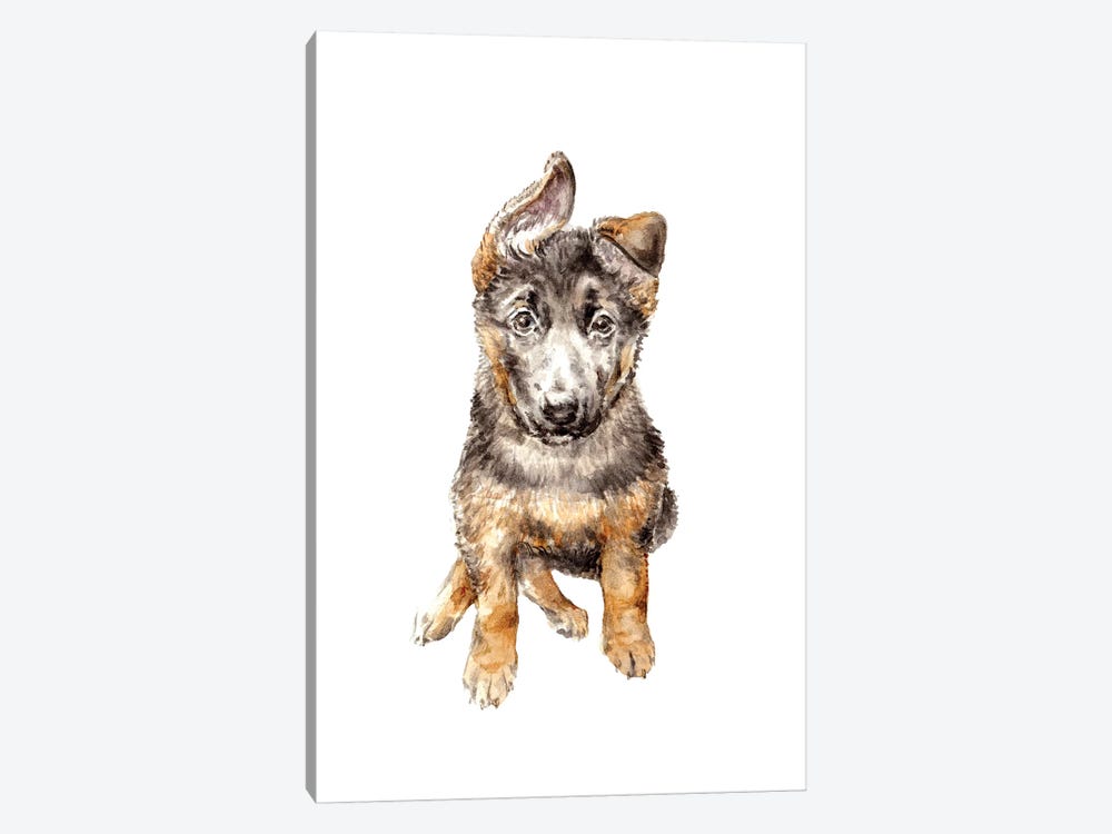 German Shepherd Puppy by Wandering Laur 1-piece Canvas Art Print