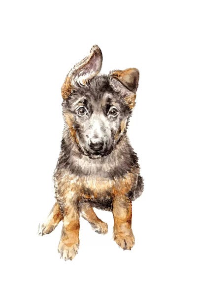 German Shepherds: German Shepherd Puppy by Wandering Laur