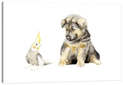 German Shepherd Puppy And Cockatiel Canvas Art Print - Puppy Art