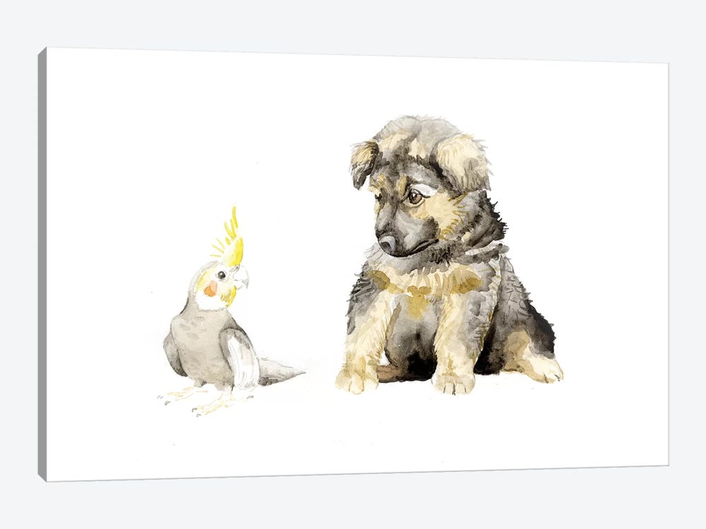 German Shepherd Puppy And Cockatiel by Wandering Laur 1-piece Canvas Artwork