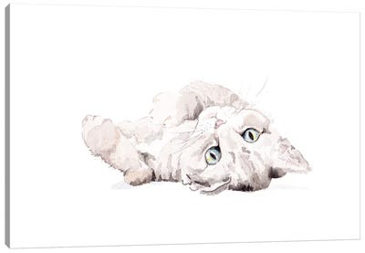 Grey Staring Cat Canvas Art Print - Wandering Laur