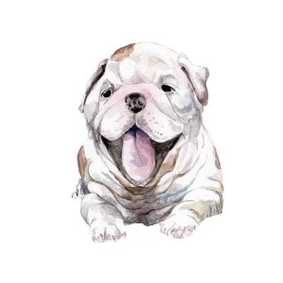 Happy Bulldog Puppy by Wandering Laur framed canvas print