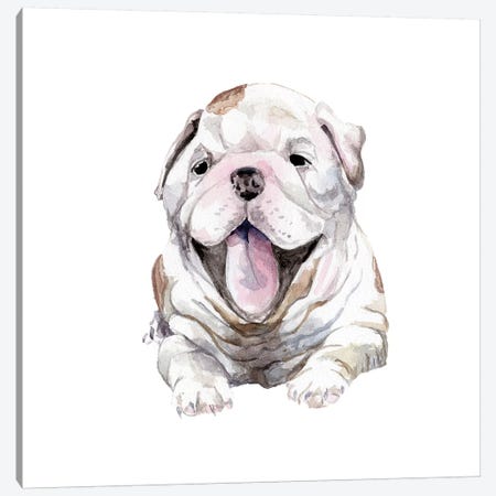 Happy Bulldog Puppy Canvas Print #RGF39} by Wandering Laur Canvas Art Print