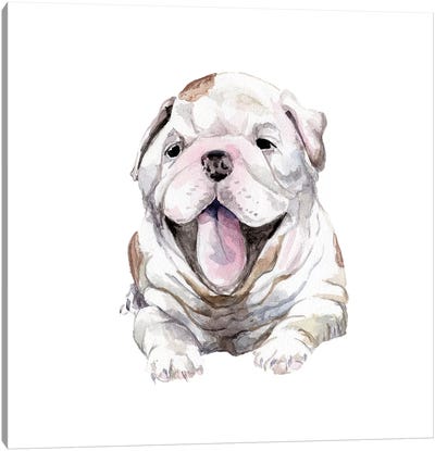 Happy Bulldog Puppy Canvas Art Print - Puppy Art