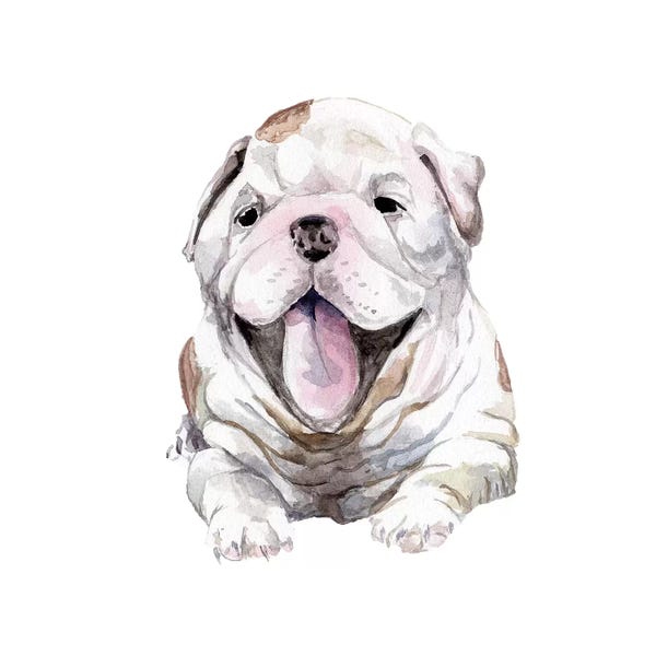 Puppies: Happy Bulldog Puppy by Wandering Laur