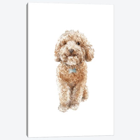 Apricot The Happy Poodle Puppy Canvas Print #RGF3} by Wandering Laur Canvas Artwork