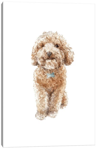 Apricot The Happy Poodle Puppy Canvas Art Print - Wandering Laur
