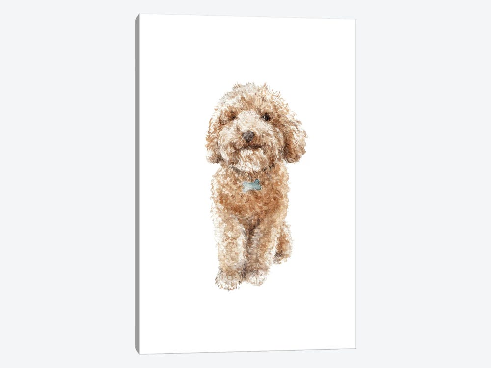 Apricot The Happy Poodle Puppy by Wandering Laur 1-piece Art Print