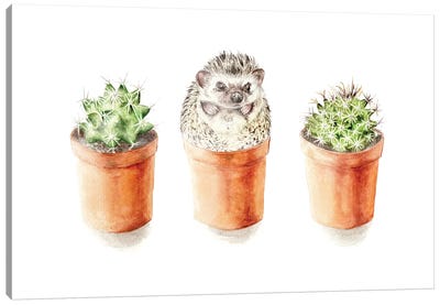One Of These Things Is Not Like The Other Canvas Art Print - Hedgehogs