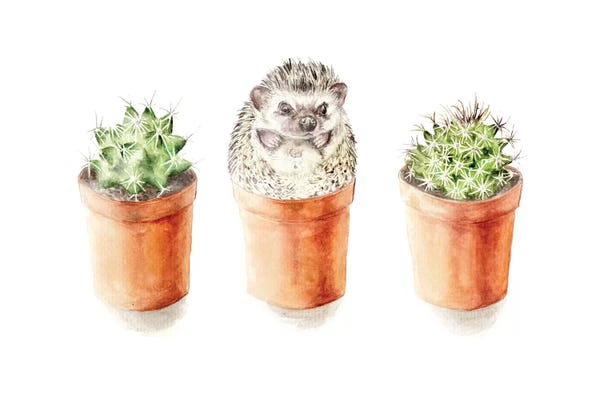Hedgehogs: One Of These Things Is Not Like The Other by Wandering Laur