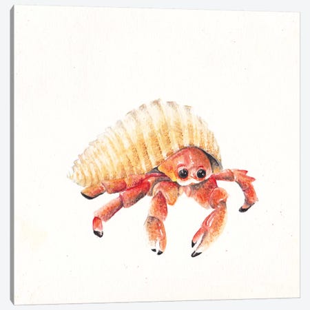 Hermit Crab Canvas Print #RGF44} by Wandering Laur Art Print