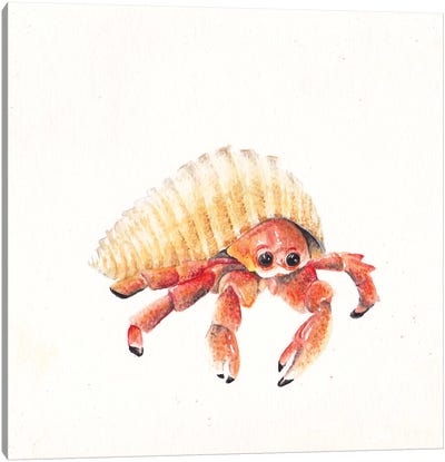 Hermit Crab Canvas Art Print - Seafood Art
