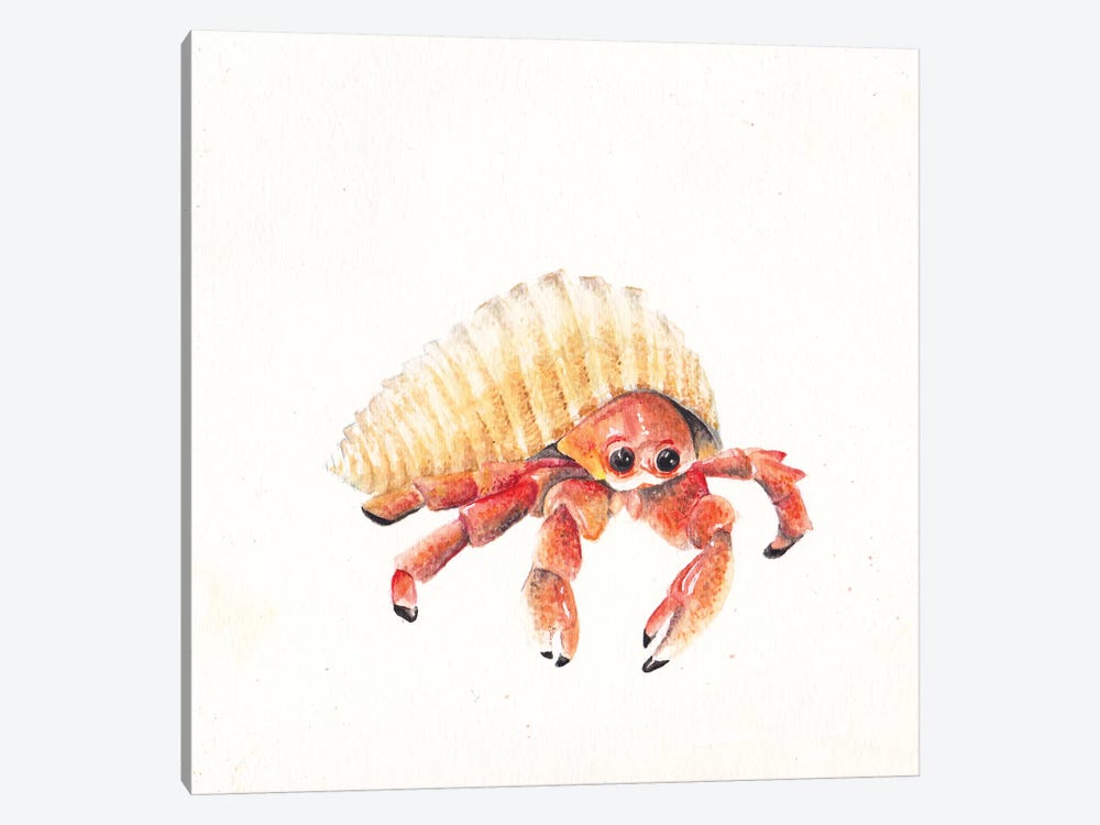 Hermit Crab by Wandering Laur 1-piece Art Print
