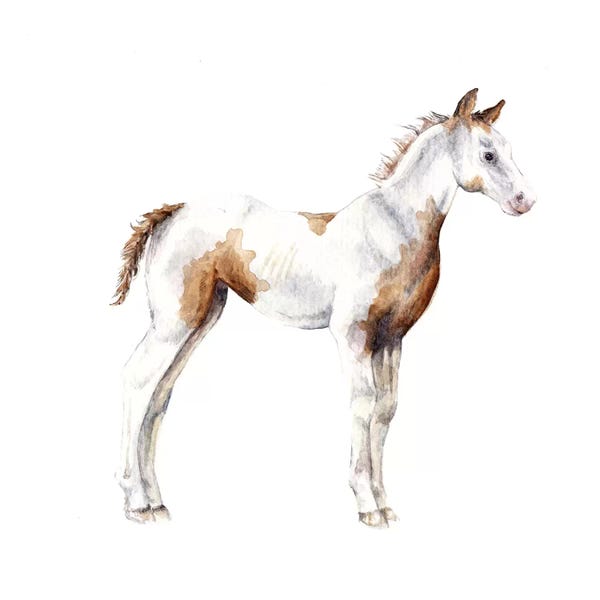 Wandering Laur: Horse Foal by Wandering Laur