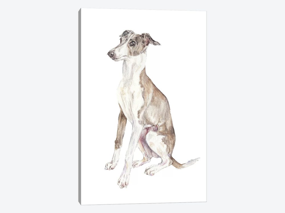 Italian Greyhound by Wandering Laur 1-piece Canvas Artwork