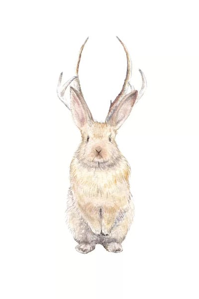 Wandering Laur: Jackalope by Wandering Laur