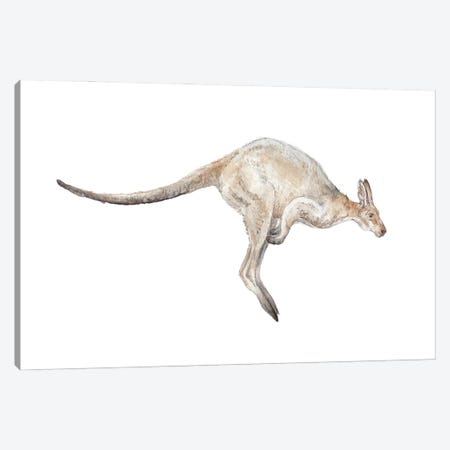 Kangaroo In Mid-Jump Canvas Print #RGF49} by Wandering Laur Canvas Wall Art