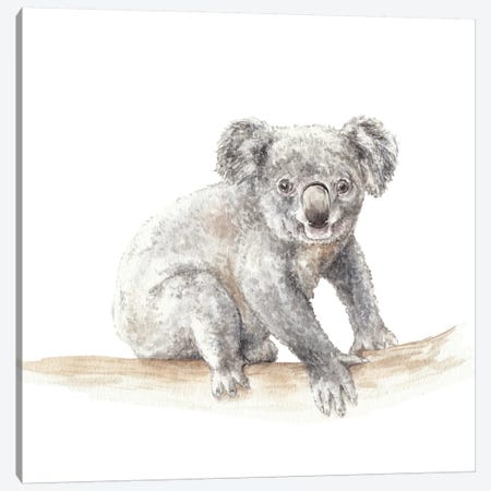 Koala Canvas Print #RGF50} by Wandering Laur Canvas Print