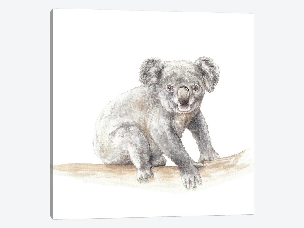 Koala by Wandering Laur 1-piece Canvas Art
