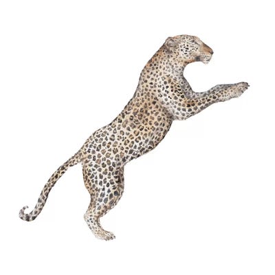 Leaping Leopard by Wandering Laur framed wall art