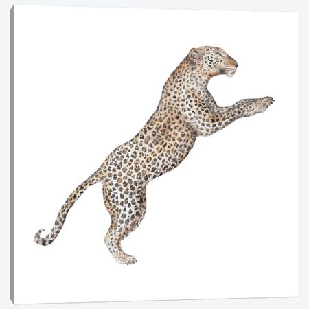 Leaping Leopard Canvas Print #RGF51} by Wandering Laur Canvas Art Print