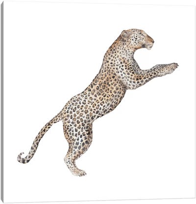 Leaping Leopard Canvas Art Print - Wandering Laur