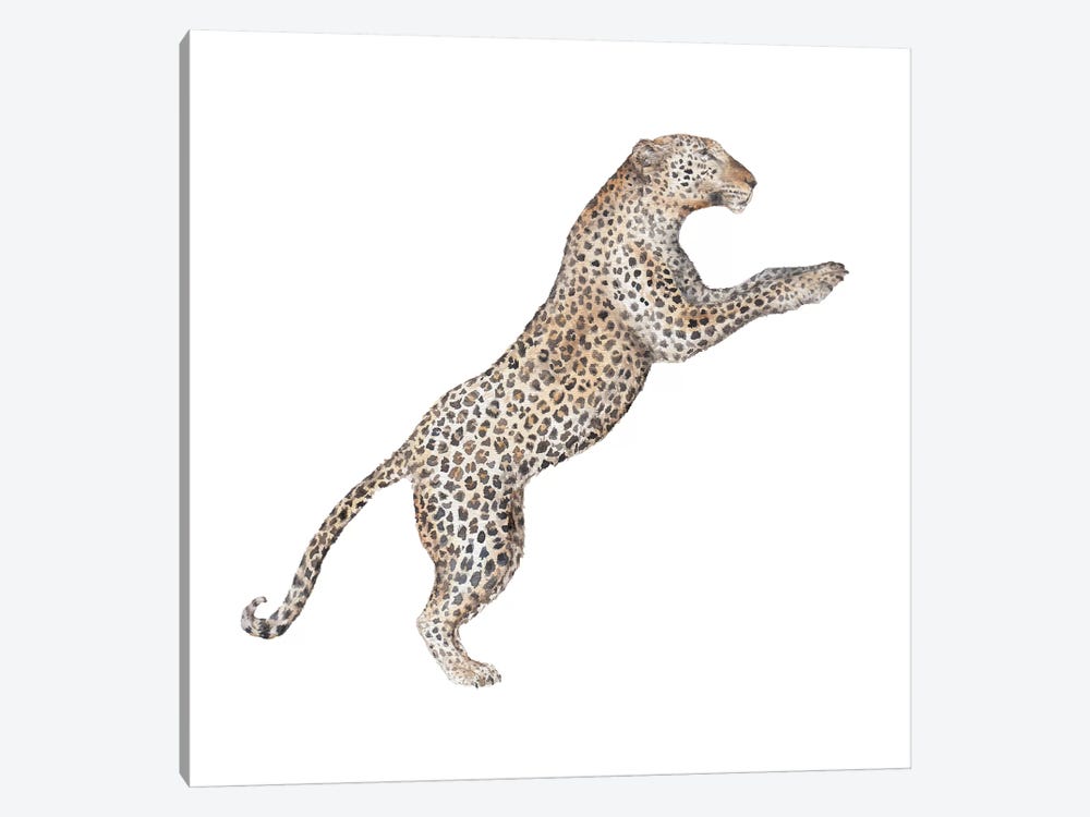 Leaping Leopard by Wandering Laur 1-piece Canvas Print