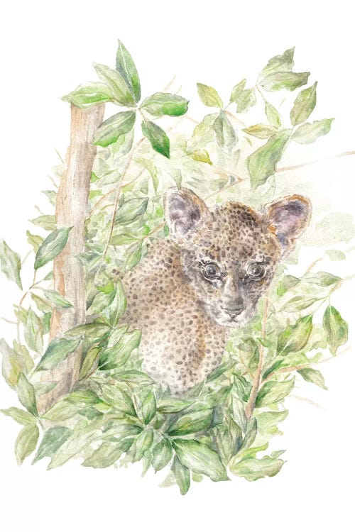 Leopard Cub In The Jungle