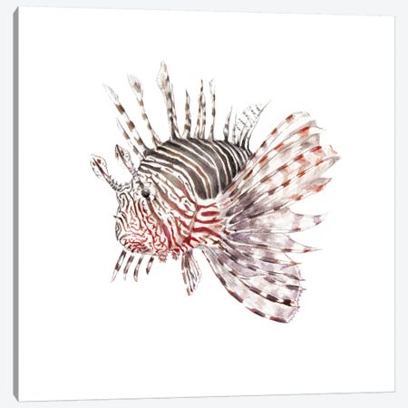 Lionfish Canvas Print #RGF53} by Wandering Laur Canvas Print