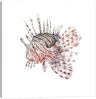 Lionfish Canvas Art Print - Kids Ocean Life Art