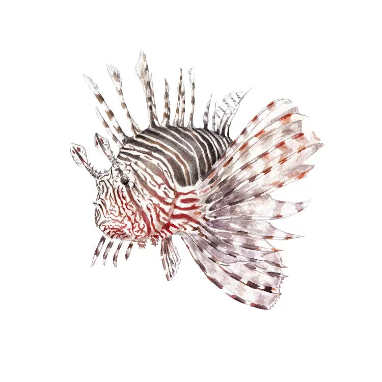 Lionfish by Wandering Laur wall art