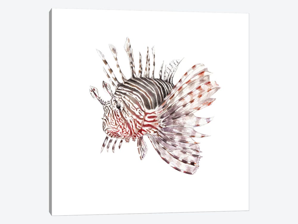 Lionfish by Wandering Laur 1-piece Canvas Print