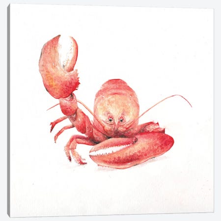Lobster Canvas Print #RGF54} by Wandering Laur Canvas Art