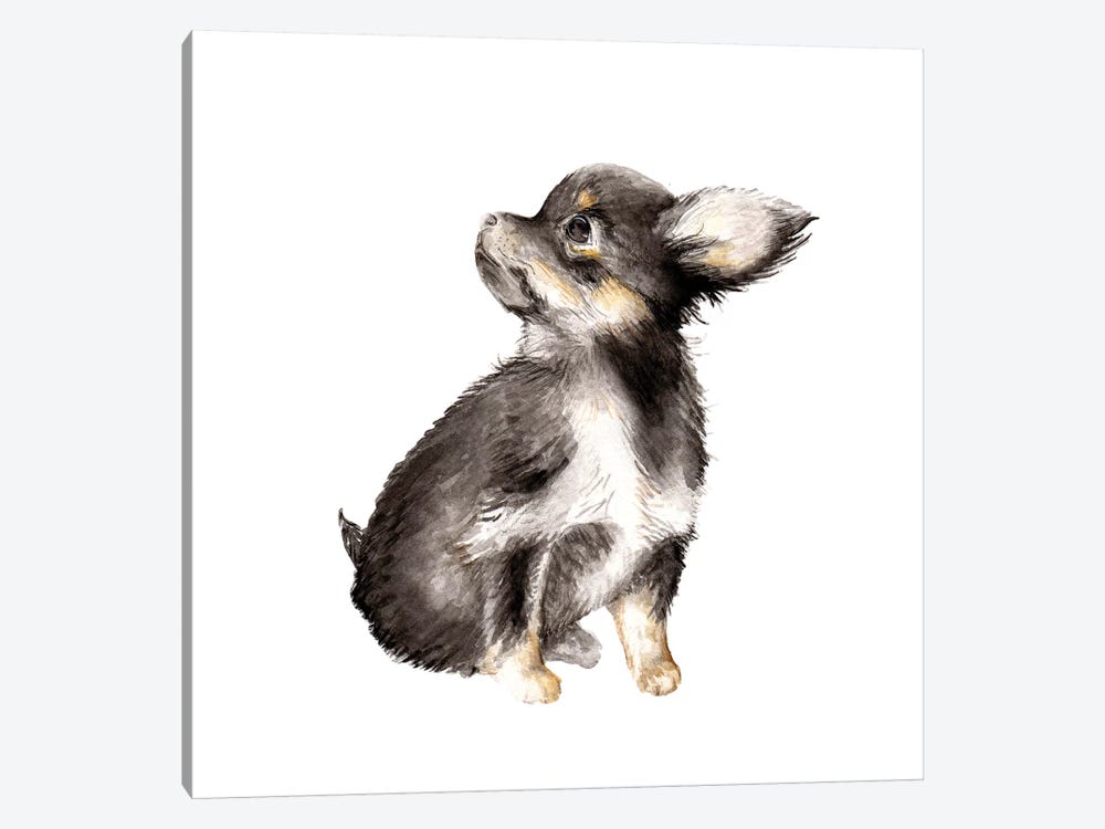 Long-Haired Chihuahua 1-piece Art Print