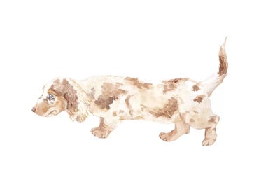 Long-Haired Dachshund by Wandering Laur framed wall art