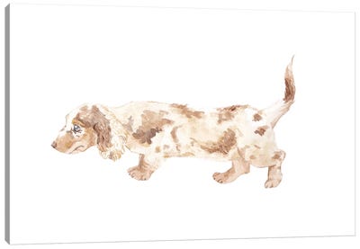 Long-Haired Dachshund Canvas Art Print - Puppy Art