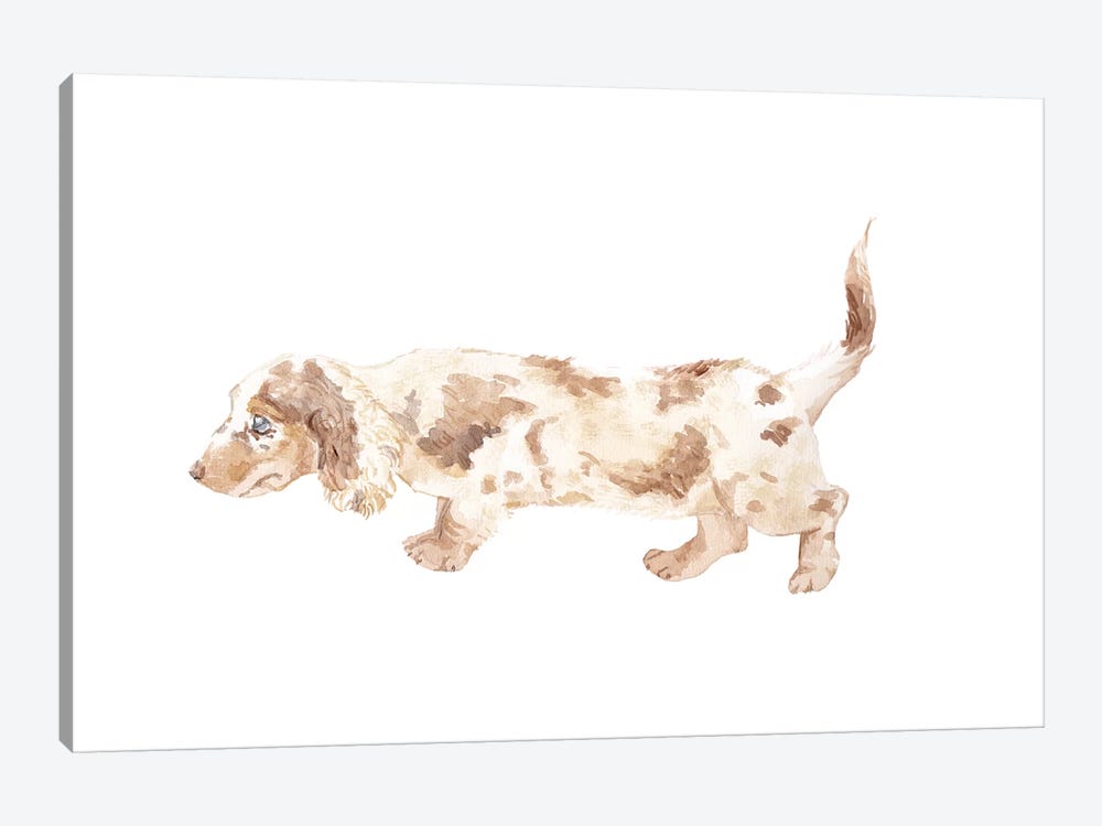 Long-Haired Dachshund by Wandering Laur 1-piece Canvas Art