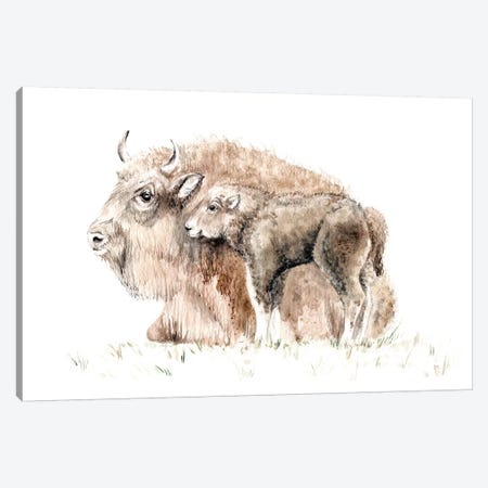 Home On The Range: Mama Buffalo And Her Calf Canvas Print #RGF57} by Wandering Laur Canvas Artwork