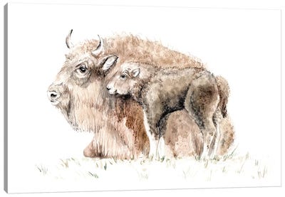 Home On The Range: Mama Buffalo And Her Calf Canvas Art Print - Wandering Laur