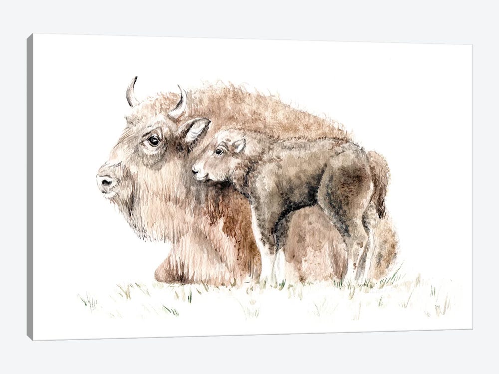 Home On The Range: Mama Buffalo And Her Calf by Wandering Laur 1-piece Art Print