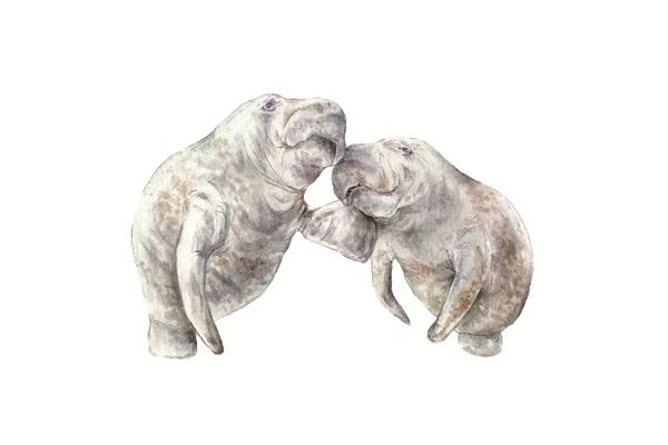 Wandering Laur: Manatees by Wandering Laur
