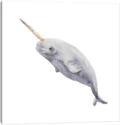 Narwhal Canvas Art Print - Narwhal Art
