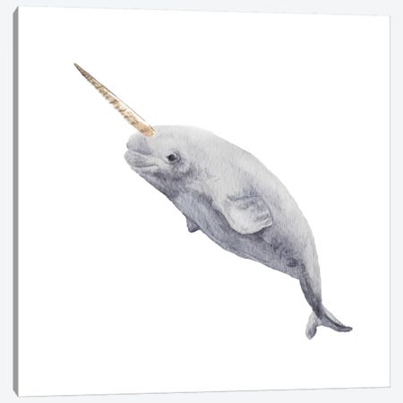 Narwhal Canvas Print #RGF60} by Wandering Laur Canvas Art