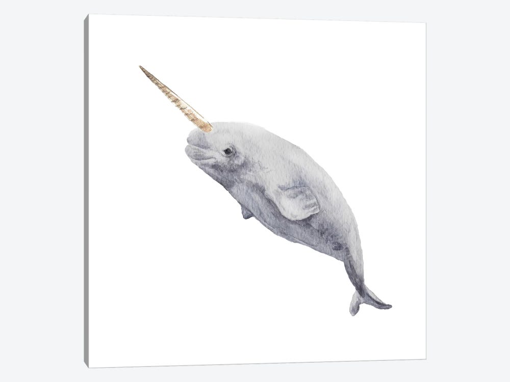 Narwhal by Wandering Laur 1-piece Canvas Print