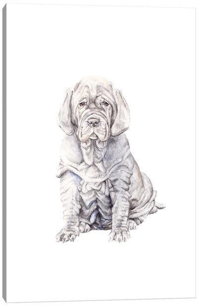 Neopolitan Mastiff Puppy Canvas Art Print - Wandering Laur
