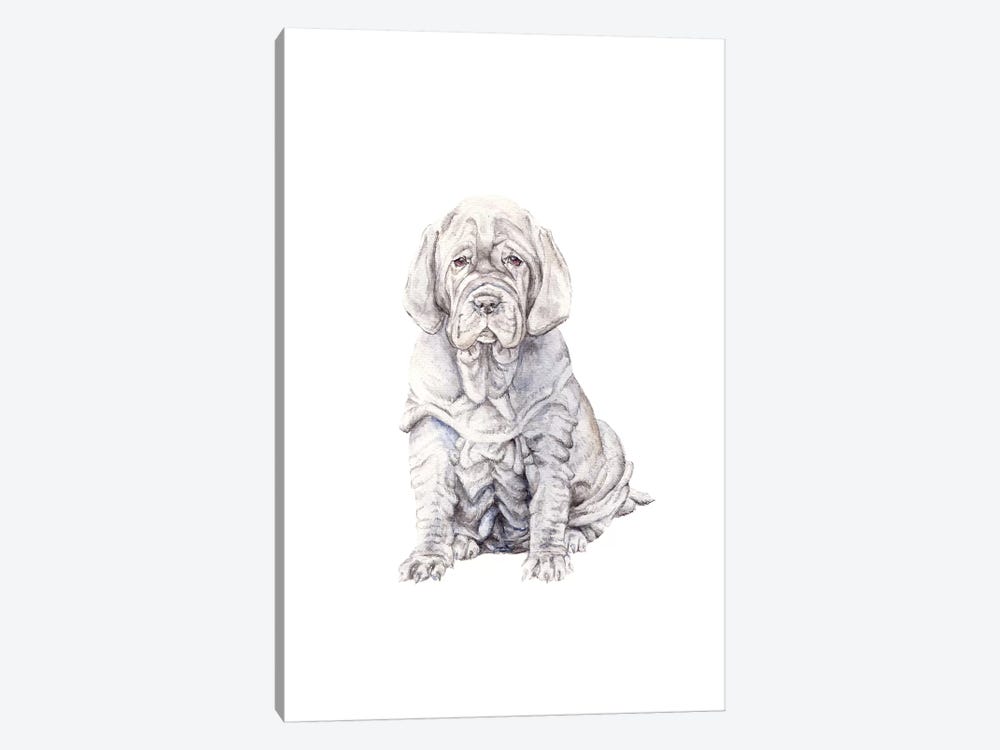 Neopolitan Mastiff Puppy by Wandering Laur 1-piece Canvas Art