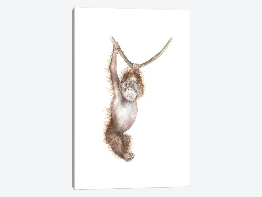 Baby Orangutan by Wandering Laur 1-piece Canvas Art