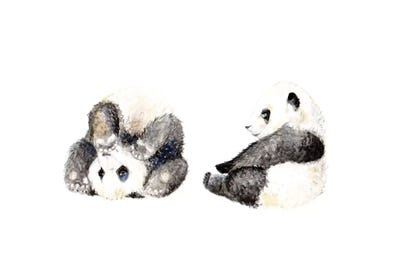 Playful Panda Cubs by Wandering Laur framed wall art