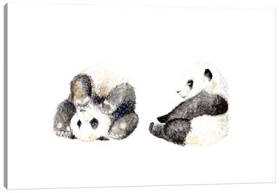 Playful Panda Cubs Canvas Art Print - Wandering Laur