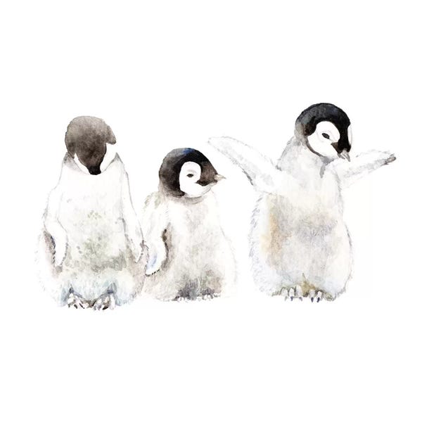 Penguins: Penguin Chicks by Wandering Laur